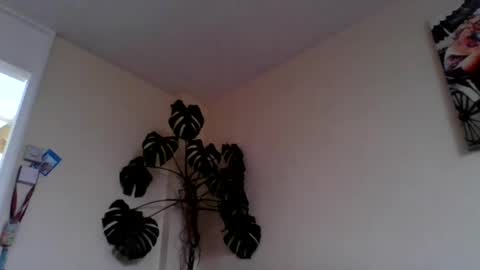 funn333222 online show from June 2026 10:28:02 AM