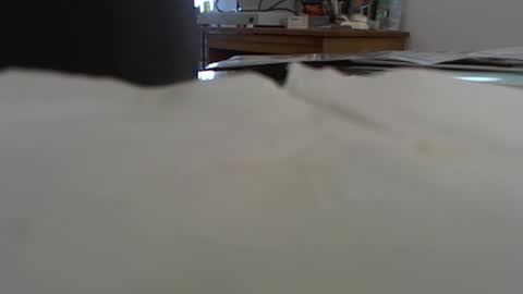 Snapshot of funone8848 chatting on January 2025 08:04:01 PM funone8848 online show from January 2025 08:04:01 PM