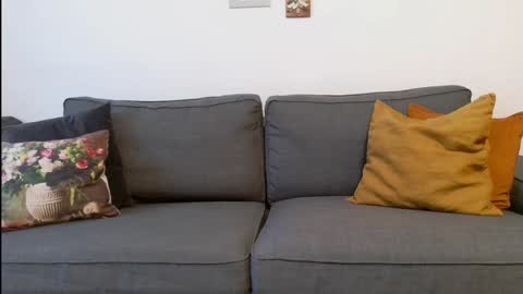 Snapshot of funservice chatting on December 2024 09:17:02 AM funservice online show from December 2024 09:17:02 AM