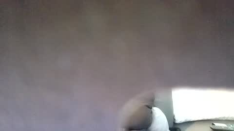 funsunny online show from July 2026 11:47:02 AM
