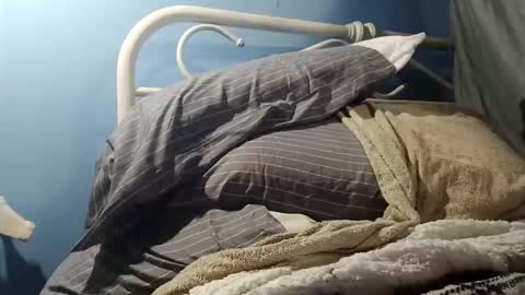 funundertheburk6414270497 online show from November 2025 12:27:02 PM