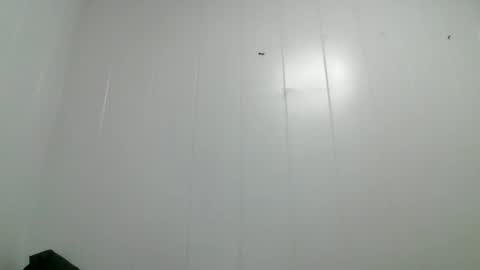 Snapshot of fushi91 chatting on November 2025 07:41:01 AM fushi91 online show from November 2025 07:41:01 AM