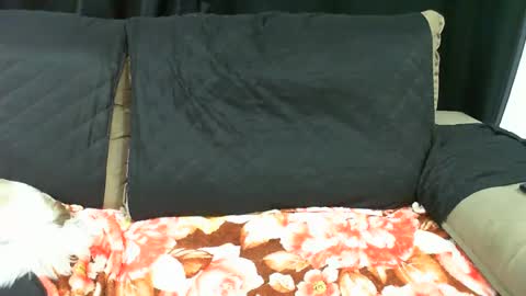 gaby  layla online show from January 2025 03:22:01 AM