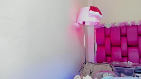 Snapshot of gabrielaa_01 chatting on January 2025 04:37:02 PM Gaby Im on vacation see you on November 25 online show from January 2025 04:37:02 PM