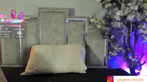 Snapshot of gabyyjones chatting on October 2025 11:33:02 AM gabyyjones online show from October 2025 11:33:02 AM