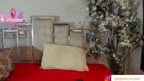 Snapshot of gabyyjones chatting on November 2025 11:24:02 AM gabyyjones online show from November 2025 11:24:02 AM