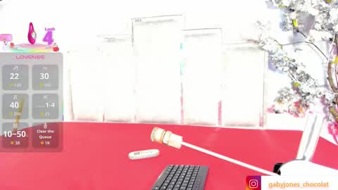 Snapshot of gabyyjones chatting on December 2025 11:48:01 AM gabyyjones online show from December 2025 11:48:01 AM