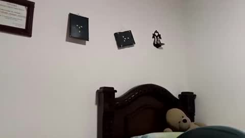 gadiel_sex online show from November 2025 07:35:02 PM