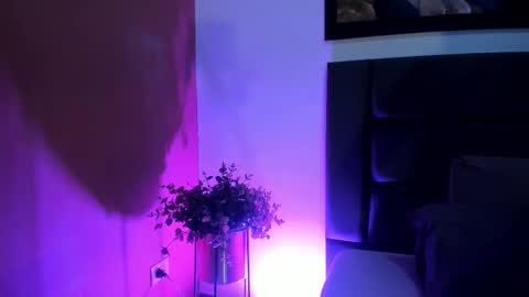 GahiaBelucci online show from March 2026 11:39:01 AM