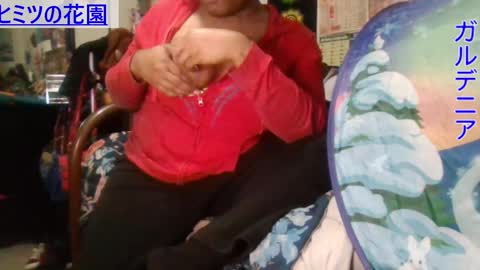 Gardenia online show from December 2024 07:58:01 AM