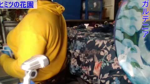 Gardenia online show from December 2024 02:22:02 AM