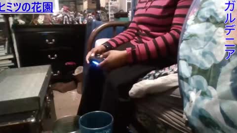 Gardenia online show from December 2024 09:09:02 PM