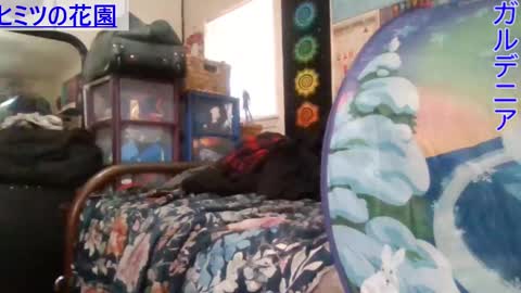 Gardenia online show from January 2025 06:31:01 PM