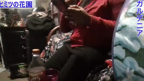 Gardenia online show from January 2025 07:11:01 AM