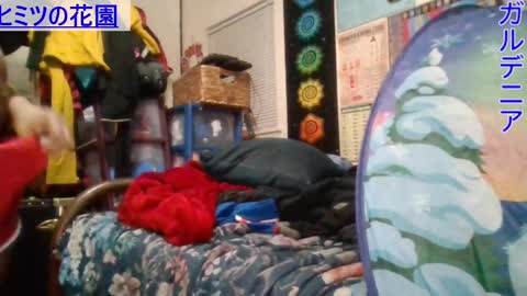 Gardenia online show from January 2025 08:34:01 AM