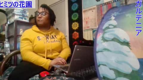 Gardenia online show from February 2025 09:00:01 AM