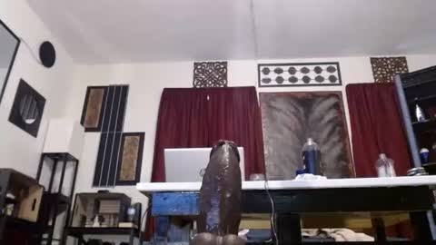 Snapshot of gatewaylaptop2019 chatting on April 2026 06:10:01 PM gatewaylaptop2019 online show from April 2026 06:10:01 PM