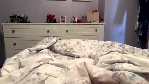 Snapshot of gav6977 chatting on November 2025 01:22:01 PM gav6977 online show from November 2025 01:22:01 PM