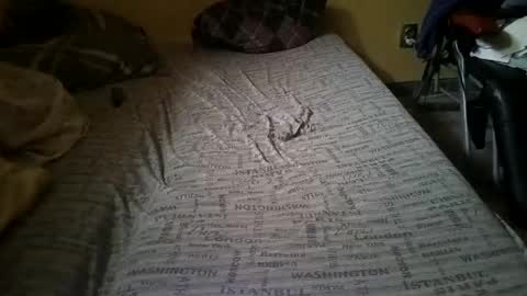 Snapshot of gazdadoka chatting on February 2025 02:23:01 PM gazdadjoka online show from February 2025 02:23:01 PM