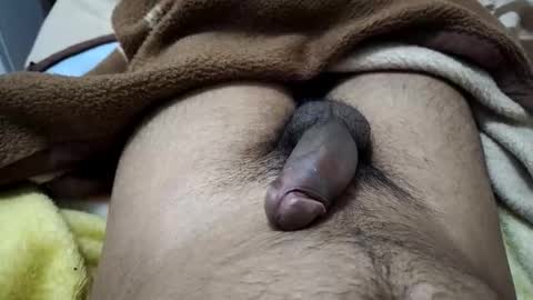 gbbdjr123 online show from January 2026 03:17:02 PM