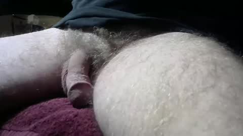 gemini_2 online show from February 2025 06:54:01 AM