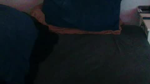 Snapshot of geminix22 chatting on November 2025 06:17:02 AM MrMiller online show from November 2025 06:17:02 AM