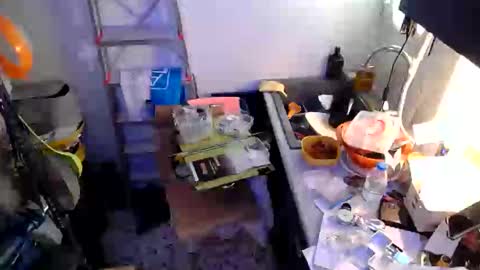 Snapshot of georgempt chatting on January 2025 09:24:01 AM georgempt online show from January 2025 09:24:01 AM