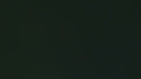 Georgina online show from February 2026 03:06:02 PM