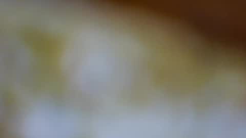 germanandy71 online show from November 2025 08:58:01 AM