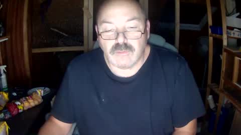 germany_50 online show from December 2024 04:37:01 PM