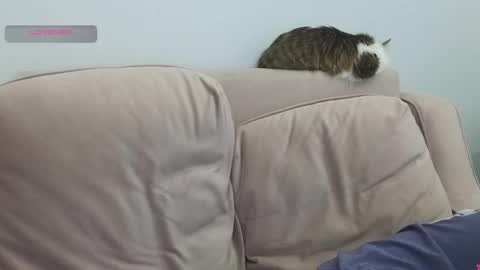 Gerta online show from March 2026 09:29:02 PM