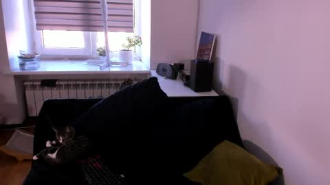 geserm online show from April 2026 01:41:01 PM