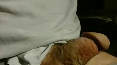 gettingstiff online show from December 2025 01:38:02 PM