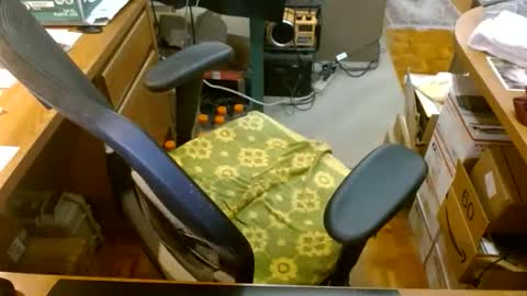 gfhdhr2 online show from March 2026 04:46:02 AM