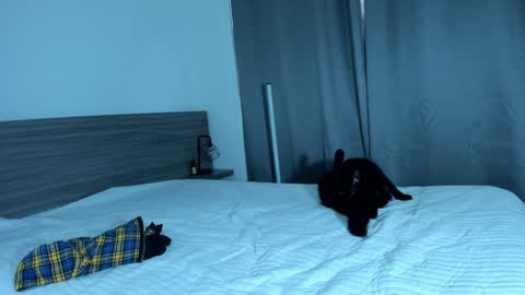 giannasue online show from January 2025 06:01:02 PM