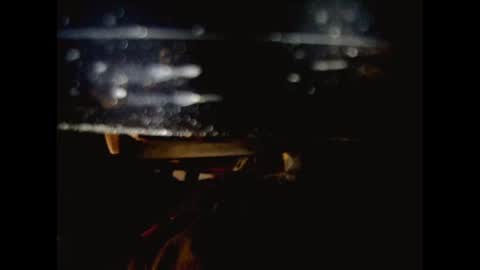 giftedbiker online show from February 2025 05:44:02 AM