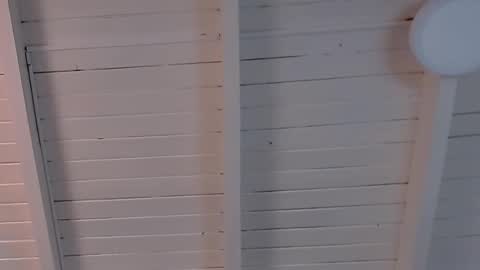 Snapshot of gigi_wilden chatting on February 2025 02:10:01 PM gigi wilden online show from February 2025 02:10:01 PM