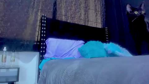 Miss online show from September 2025 05:40:02 PM