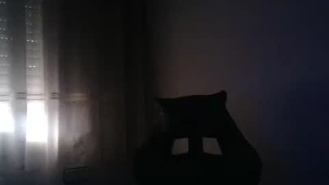 gioshadow online show from May 2026 03:52:02 PM
