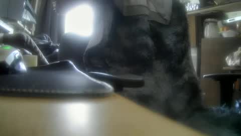 giovanne1 online show from December 2024 12:11:02 PM