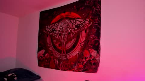 NYX online show from February 2026 08:13:02 PM