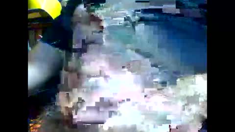 PencilDick online show from November 2025 09:08:02 AM