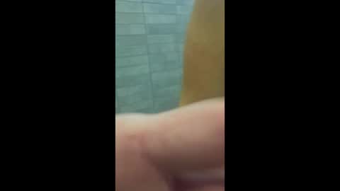 gneforever online show from January 2026 08:41:01 AM