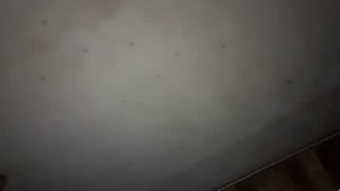 godseekingatheist online show from November 2025 01:59:02 AM