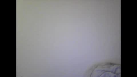 Snapshot of gohan8558 chatting on December 2024 02:56:01 PM gohan8558 online show from December 2024 02:56:01 PM