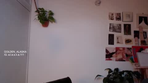 Alaska online show from October 2025 11:21:01 AM