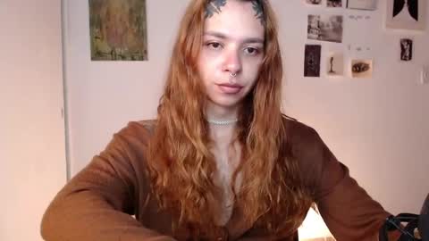 Alaska online show from May 2026 10:24:02 AM