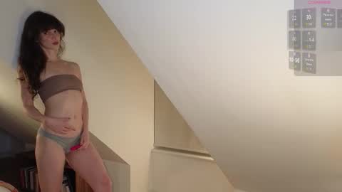 Gracie online show from February 2026 04:54:01 PM