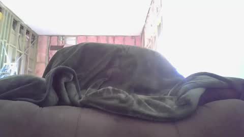 goodcock12345 online show from December 2024 08:28:01 PM