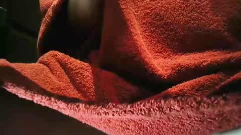 grapefruit online show from March 2025 09:59:01 PM